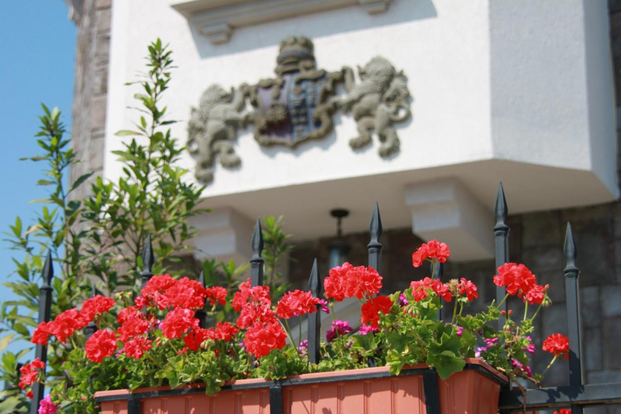 Hotel Lacetate Пітешть Екстер'єр фото