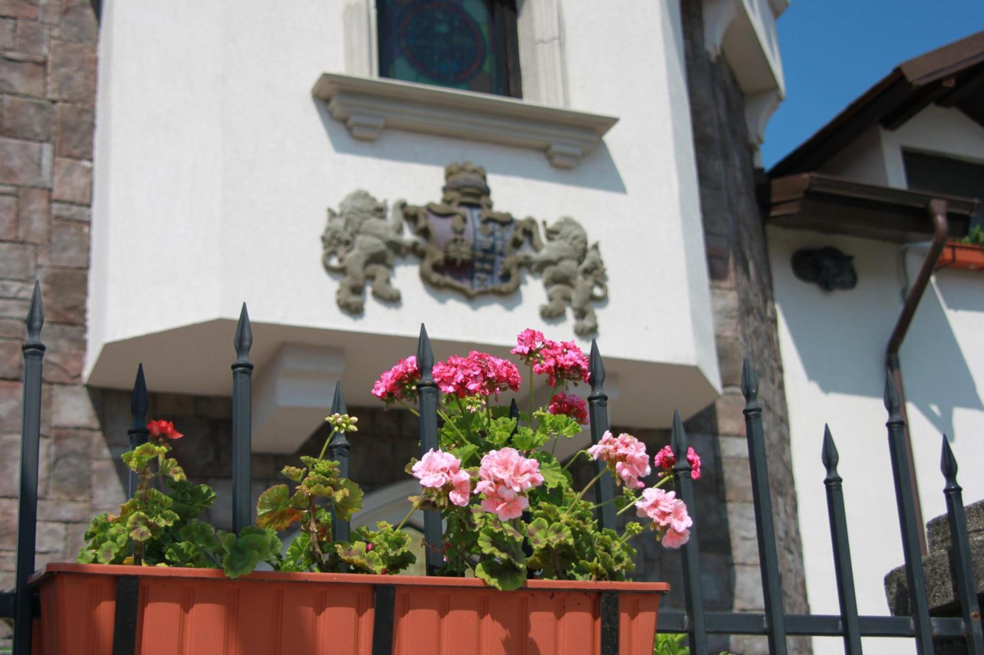 Hotel Lacetate Пітешть Екстер'єр фото